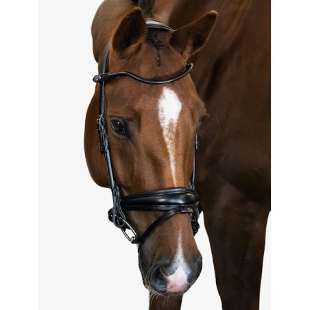 GP Bridle