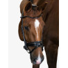 GP Bridle