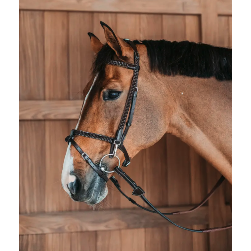 Plaited Training Bridle with Snap Hooks - Working by Dy'on