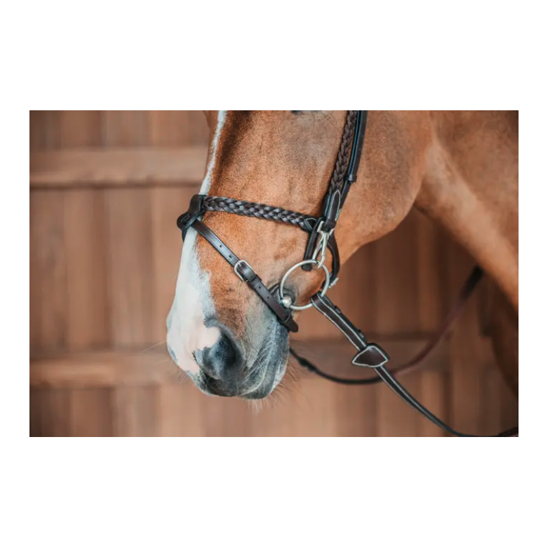 Plaited Training Bridle with Snap Hooks - Working by Dy'on