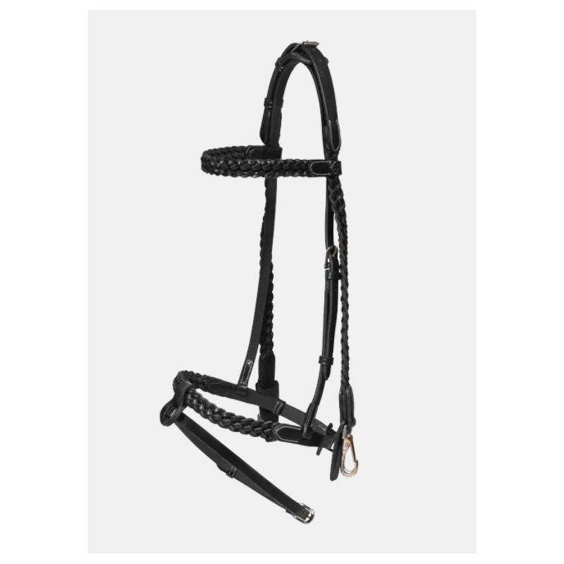 Plaited Training Bridle with Snap Hooks - Working by Dy'on