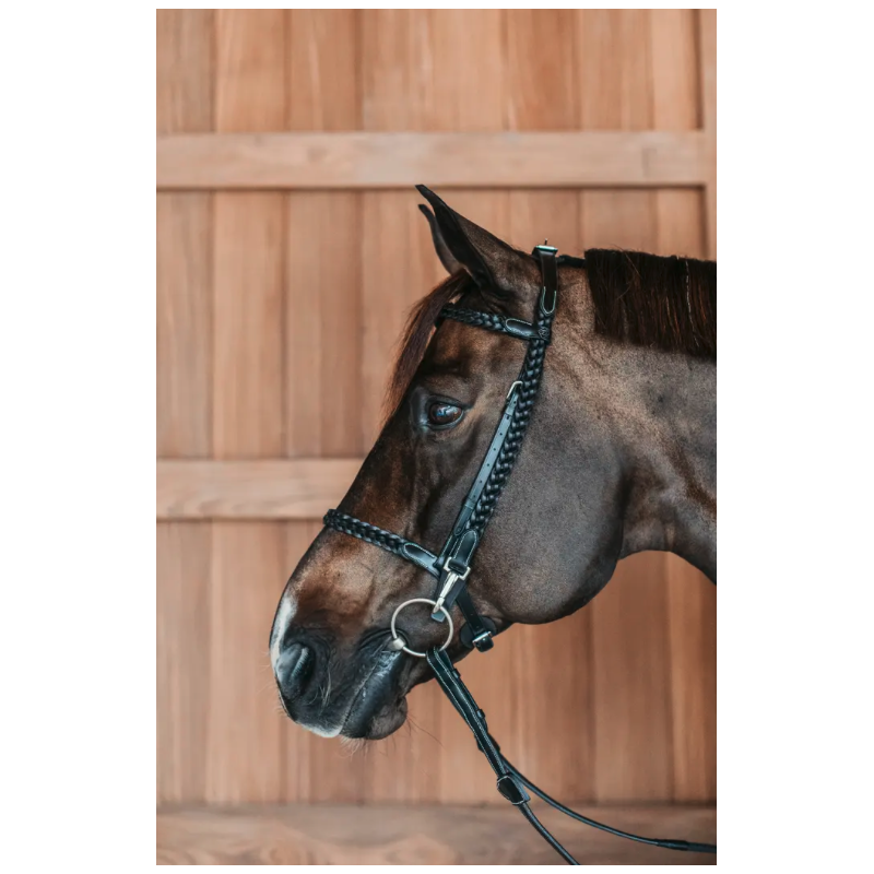 Plaited Training Bridle with Snap Hooks - Working by Dy'on