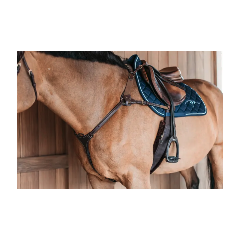 Collier de chasse 5 point à élastique