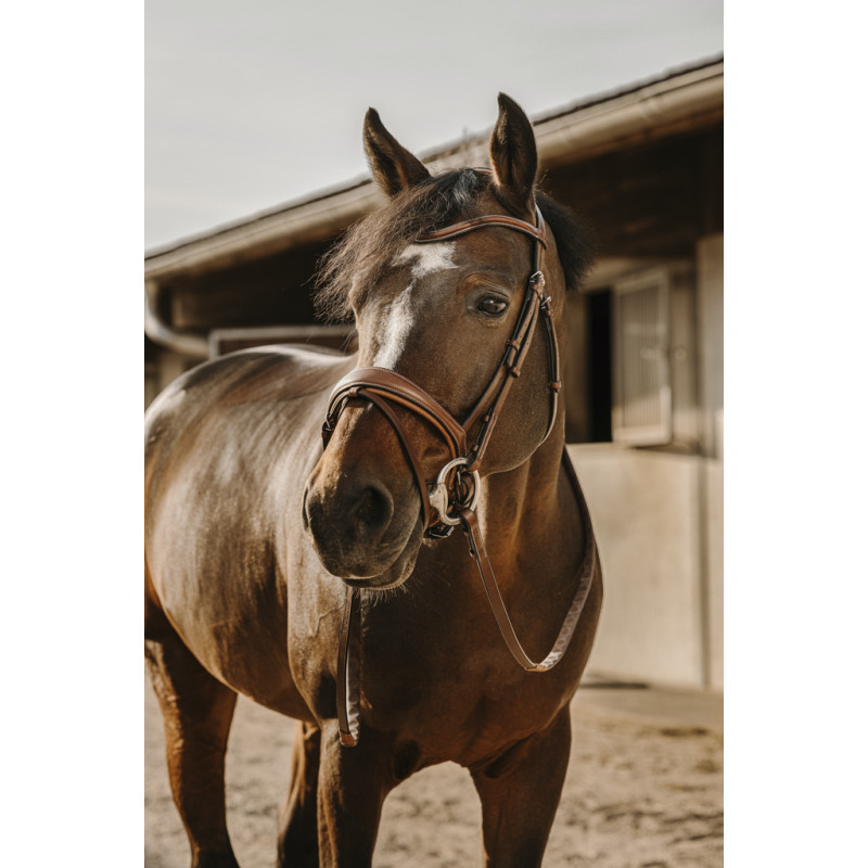 Bridle Visby HYBRID - ERIC THOMAS