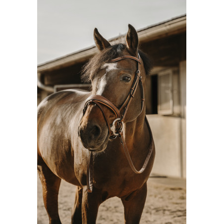 Bridle Visby HYBRID - ERIC THOMAS