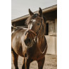 Bridle Visby HYBRID - ERIC THOMAS