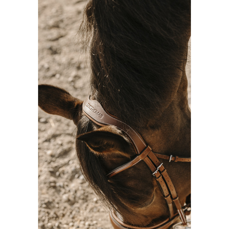 Bridle Visby HYBRID - ERIC THOMAS