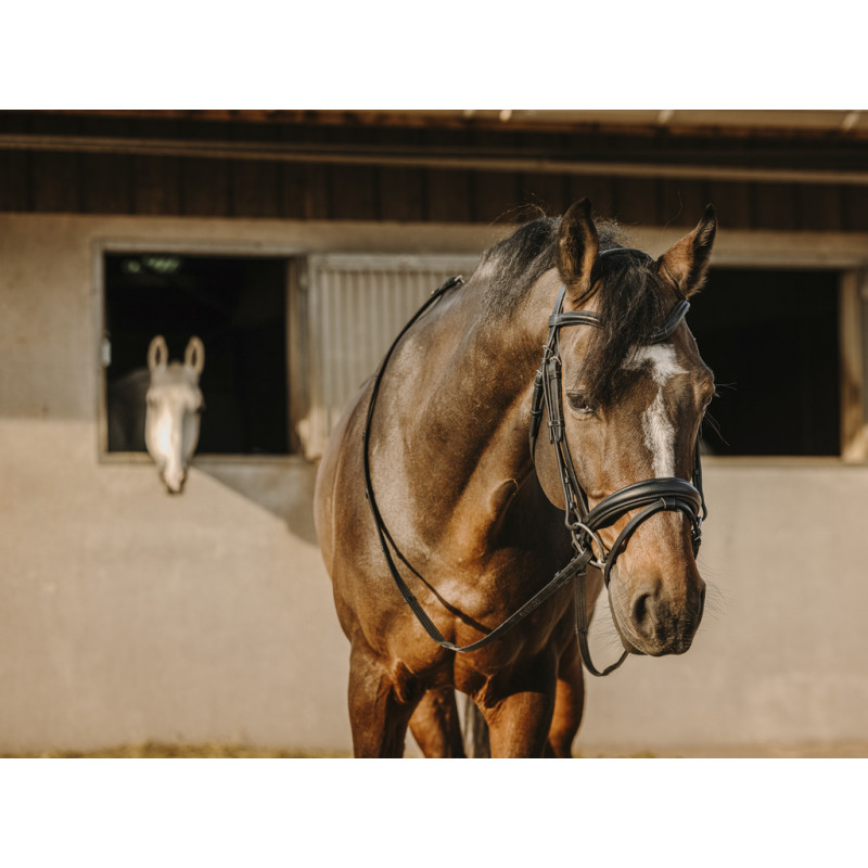 Eric Thomas HYBRID - Bat Bridle