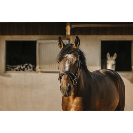 Eric Thomas HYBRID - Bat Bridle