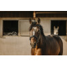 Eric Thomas HYBRID - Bat Bridle