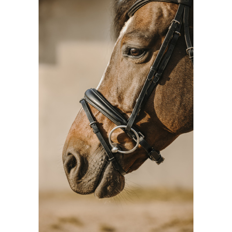 Eric Thomas HYBRID - Bat Bridle