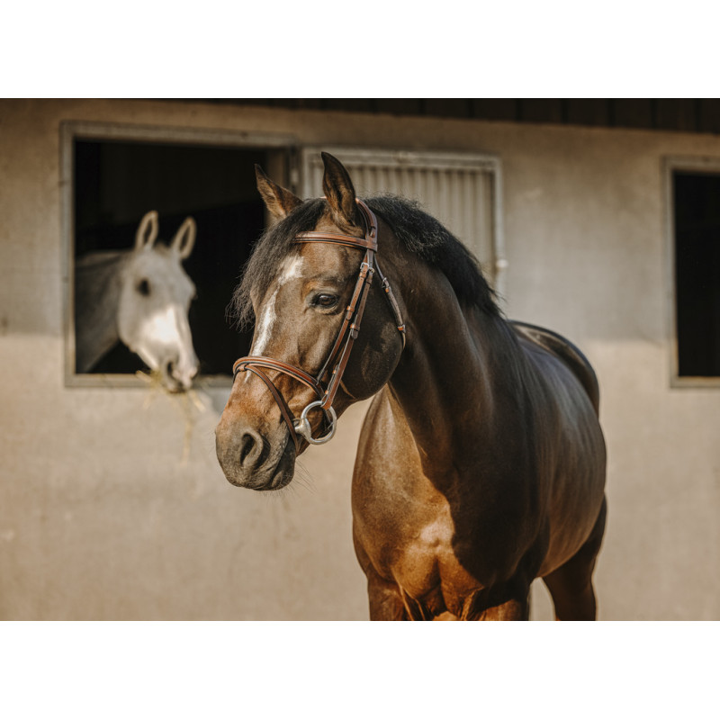 Eric Thomas HYBRID - Crown Bridle