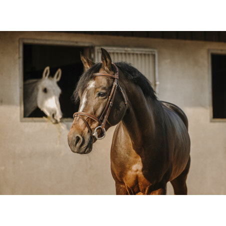 Eric Thomas HYBRID - Crown Bridle