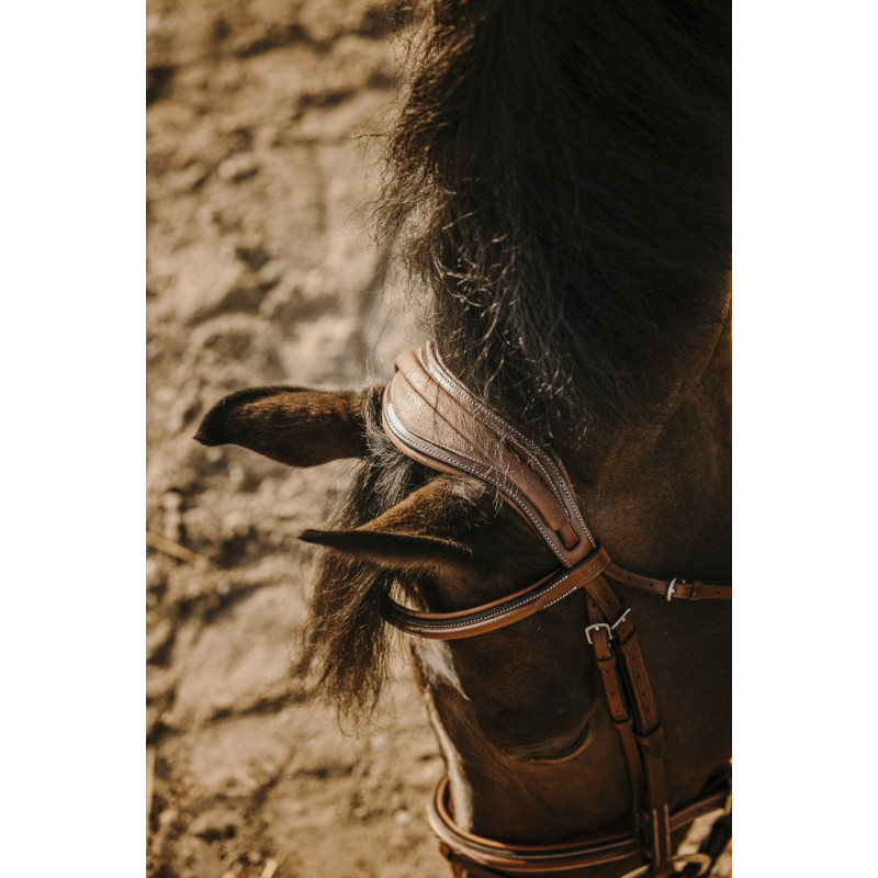 Eric Thomas HYBRID - Crown Bridle