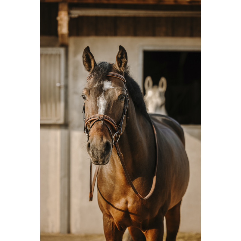 Eric Thomas - work Bridle