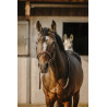 Eric Thomas - work Bridle