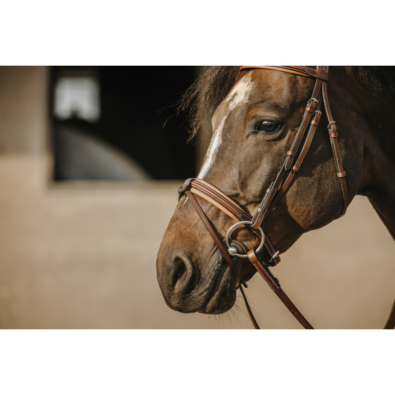 Eric Thomas - work Bridle