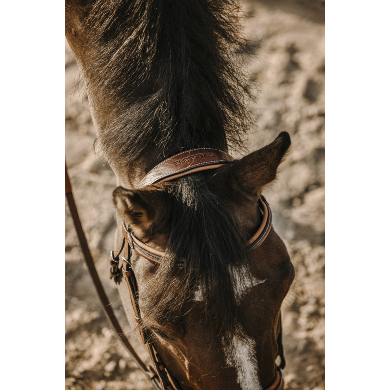 Eric Thomas - work Bridle