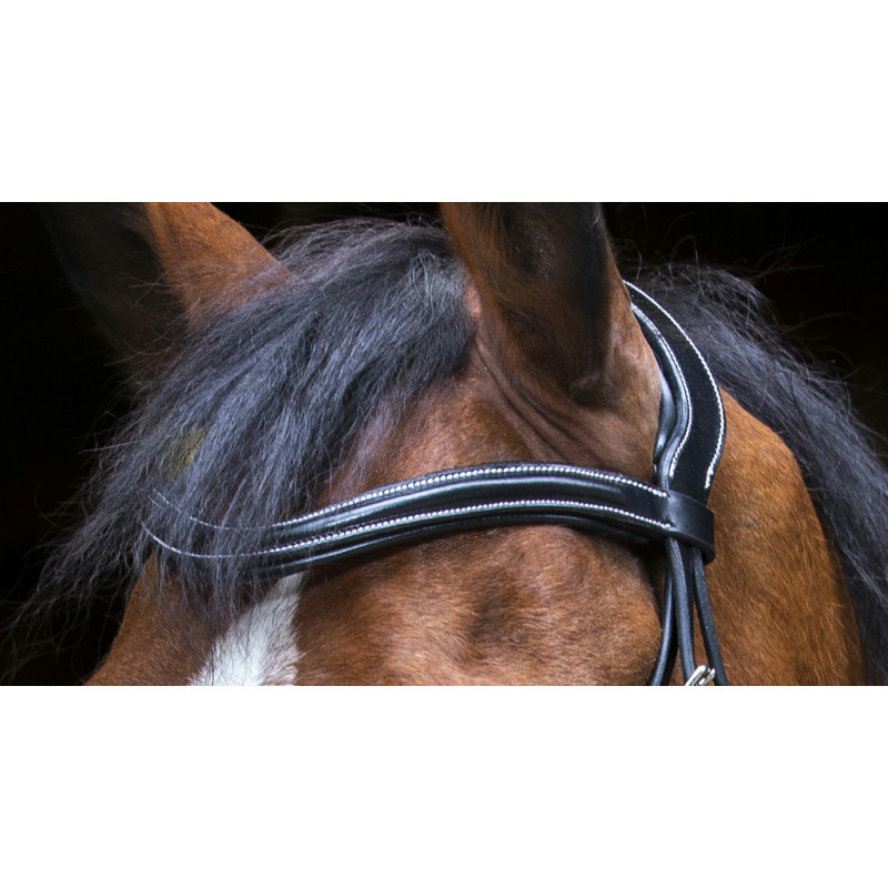 Eric Thomas - Design Bridle