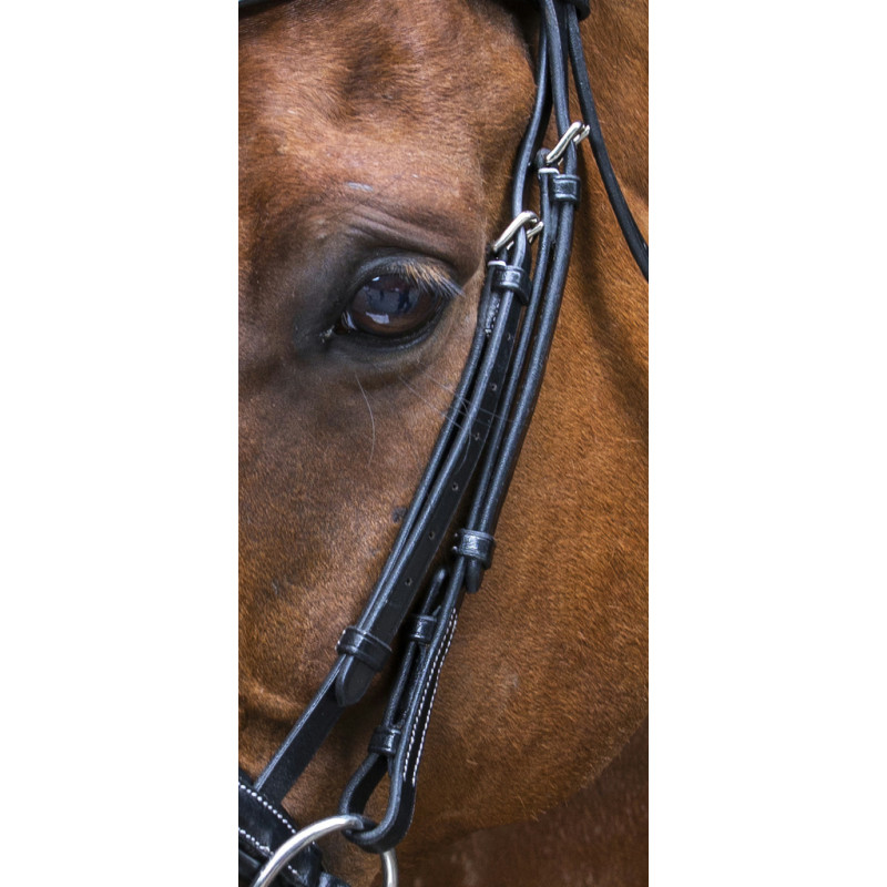 Eric Thomas - Design Bridle