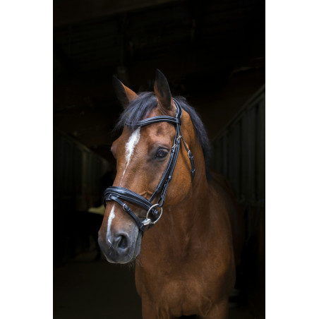 Eric Thomas - Design Bridle