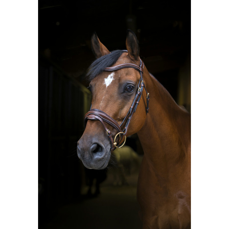 Eric Thomas - Design Bridle