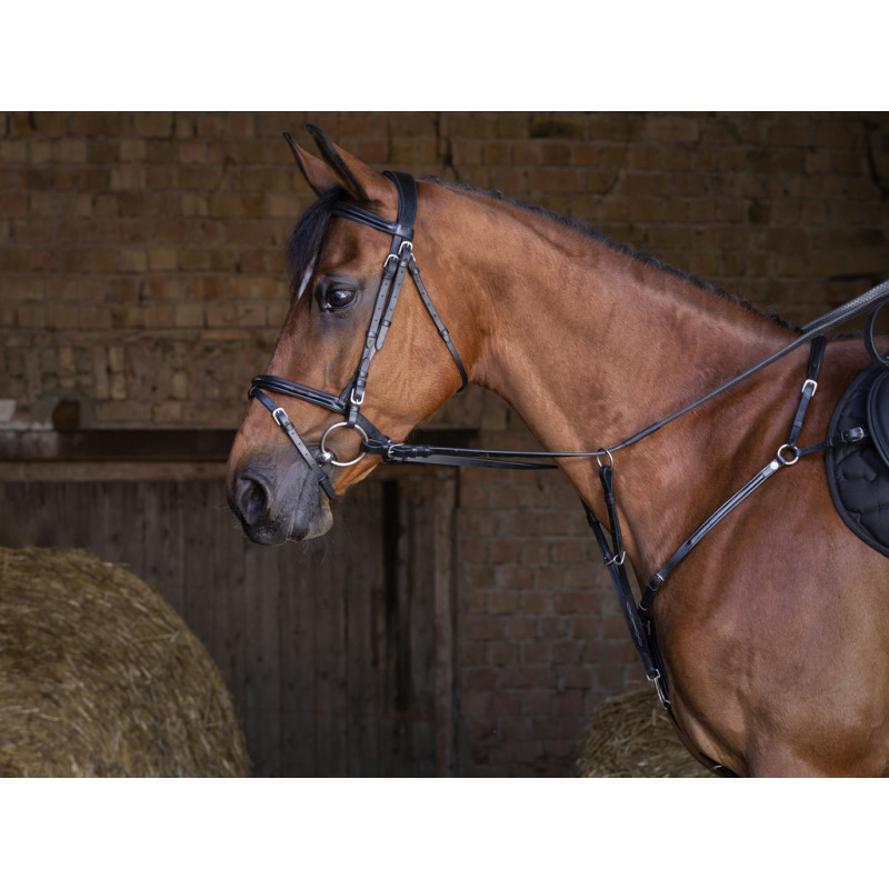 Collier de chasse Hybrid - ERIC THOMAS
