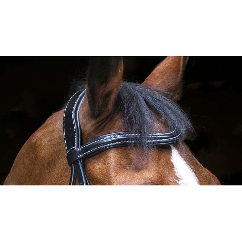 Bridle Wave - Eric Thomas