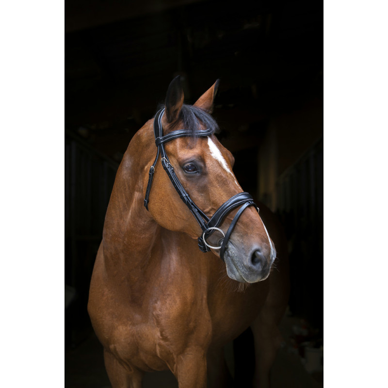 Bridle Wave - Eric Thomas