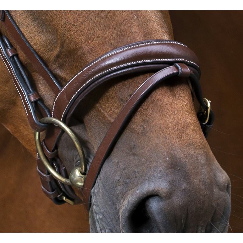 Eric Thomas - Wave Bridle