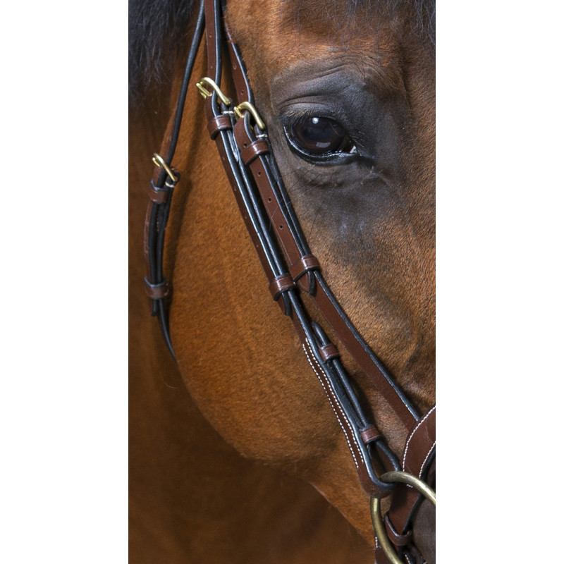 Eric Thomas - Wave Bridle