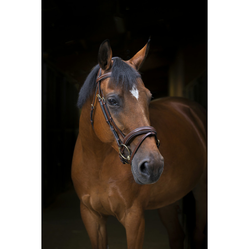 Bridle Wave - Eric Thomas