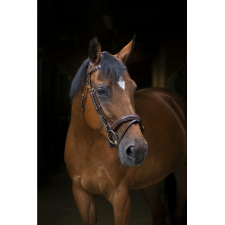 Bridle Wave - Eric Thomas