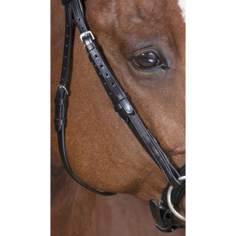 Norton Pro Bridle Soft