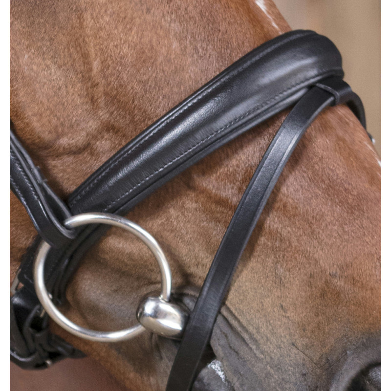 Norton Pro Bridle Soft