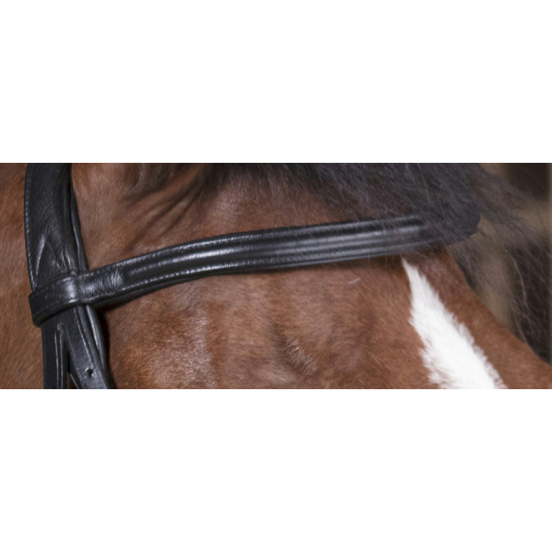 Norton Pro Bridle Soft