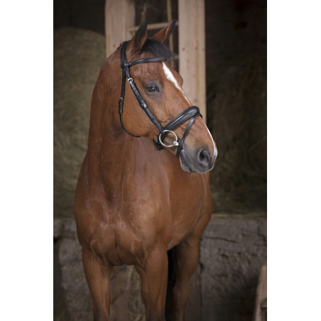 Norton Pro Bridle Soft