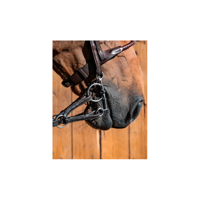 Mors baby pelham simple brisure Gustav
