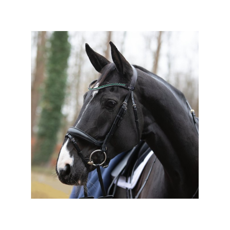 Fantastic Snaffle Bridle Passier