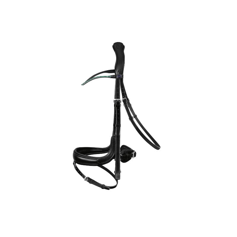 Fantastic Snaffle Bridle Passier