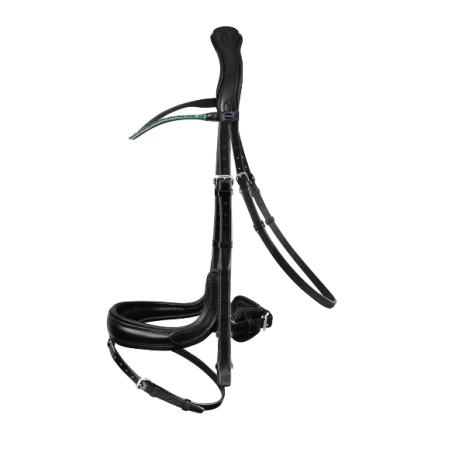 Fantastic Snaffle Bridle Passier