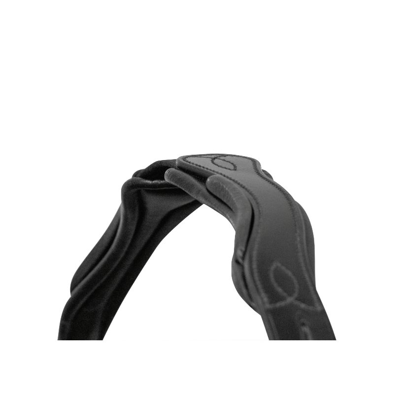 Fantastic Snaffle Bridle Passier