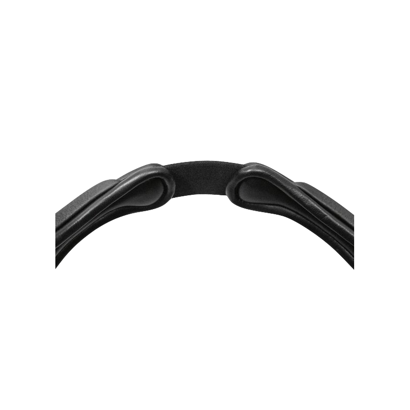 Fantastic Snaffle Bridle Passier