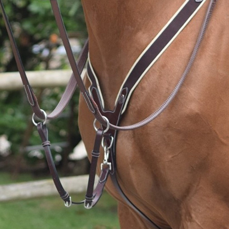 Elastic Breastplate and martingale Jump'in