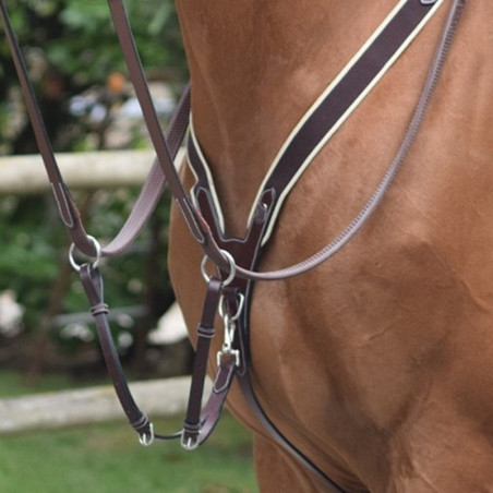 Collier de chasse élastique et martingale Jump'in
