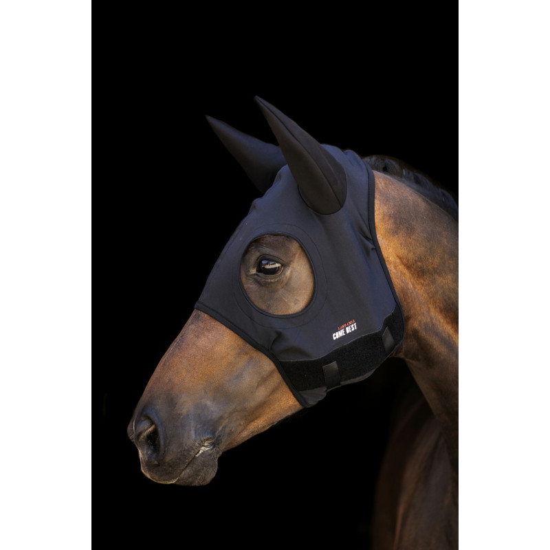 Masque en titane avec oreilles Lami-cell