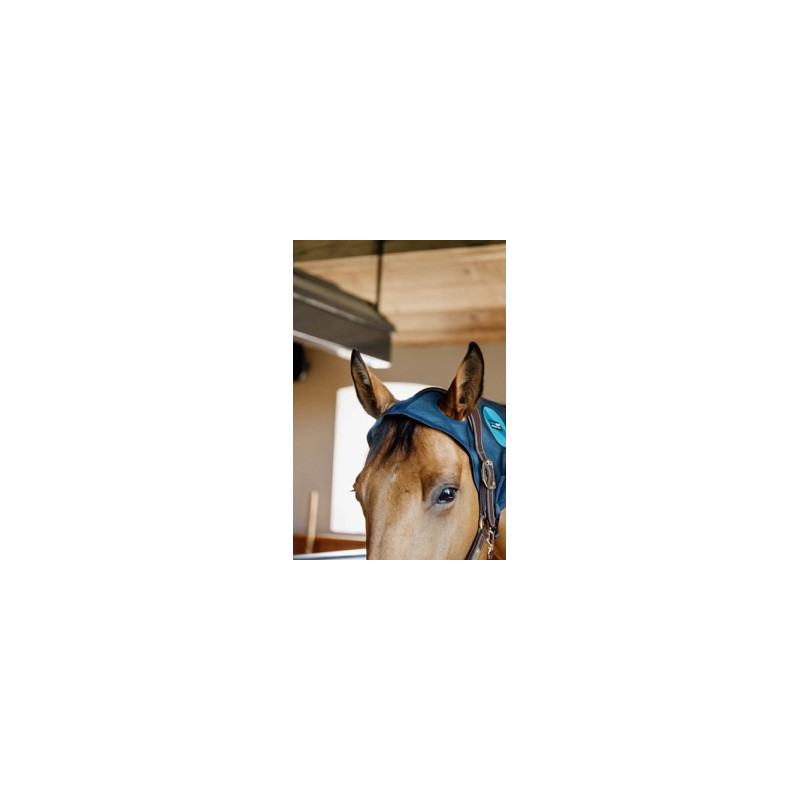 Neck Protector Magnetic Recuptex - Kentucky