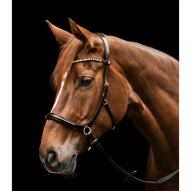 X-Line Bitless Bridle - reins