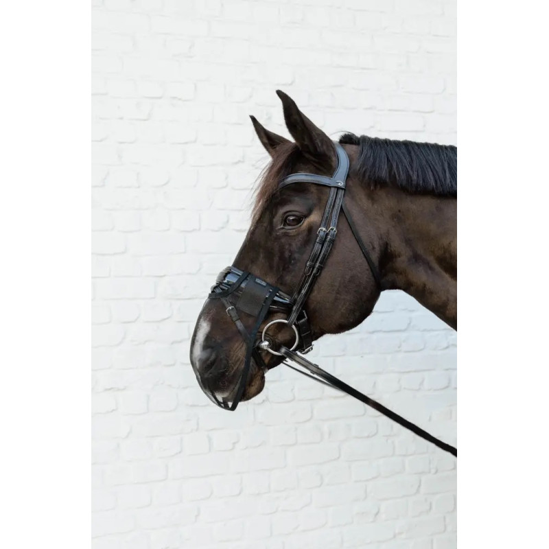 Anti Fly Nose net Kentucky