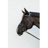 Filet pour naseaux anti-mouche Kentucky